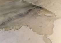 Water leak between the wall and floor in your basement?
